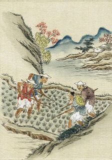 Workers cultivating rice in a paddy field, 19th century