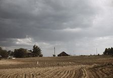 Workers going home from an afternoon of chopping cotton, Greene County, Ga., 1941. Creator: Jack Delano