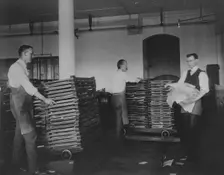 Workers moving newly printed currency into a drying box where sheets will dry before...c1890. Creator: Frances Benjamin Johnston