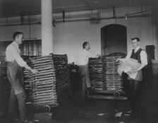 Workers moving newly printed currency into a drying box where sheets will dry before...c1890. Creator: Frances Benjamin Johnston