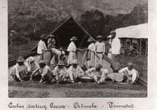 Workers sorting cocoa beans, Ortinola, Trinidad, 1897