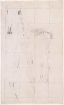 Working drawing for The Tenth Anatomical Table of the Muscles ... of the Horse 1756. Creator: George Stubbs