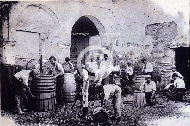 Workshop of handcrafted barrels construction for the wine industry, 1900.