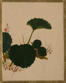 Worm on Green Leaved Plant. Creator: Shibata Zeshin