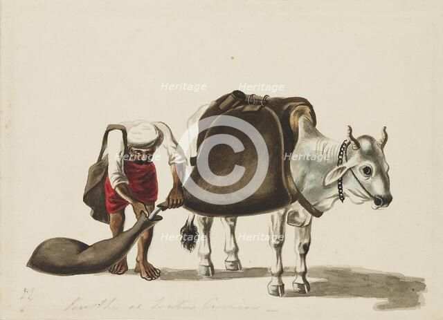 Water-carrier, c1810. Artist: Sewak Ram.