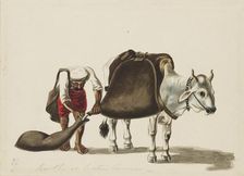 Water-carrier, c1810. Artist: Sewak Ram