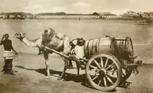 Water Cart, Aden c1918-c1939. Creator: Unknown