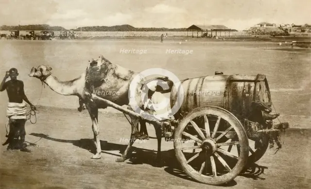 'Water Cart, Aden', c1918-c1939. Creator: Unknown.