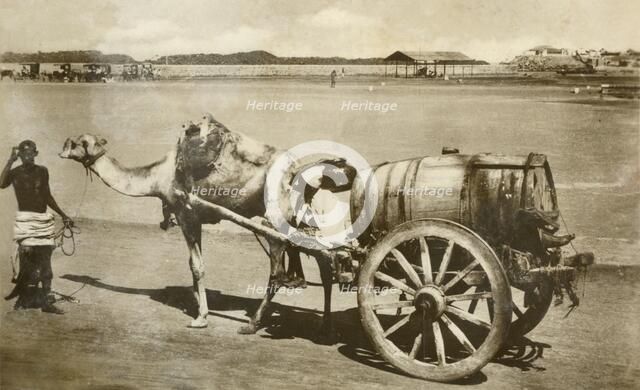 'Water Cart, Aden', c1918-c1939. Creator: Unknown.