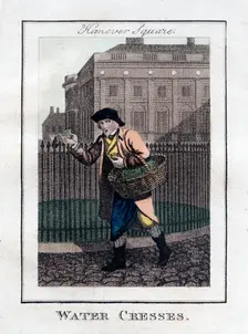 Water Cresses Hanover Square, London, 1805