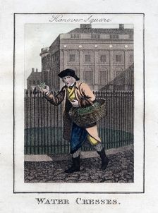 Water Cresses Hanover Square, London, 1805