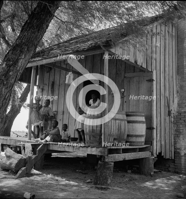 Water barrels on plantation cabin in Brazos riverbottoms, near Bryan, Texas, 1938. Creator: Dorothea Lange.