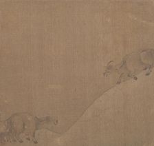 Water Buffaloes. Creator: Unknown