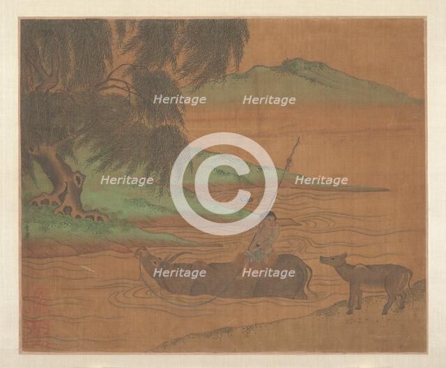 Water Buffalo. Creator: Unknown.