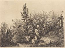 Water Dock, 1840. Creator: Eugene Blery