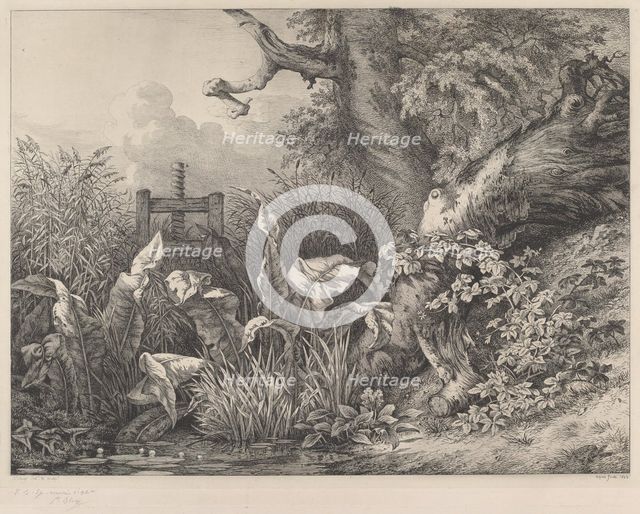 Water Dock and Brambles at a Sluice, 1843. Creator: Eugene Blery.