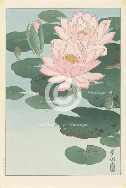 Water Lilies, 1920-1930. Creator: Ohara, Koson (1877-1945).