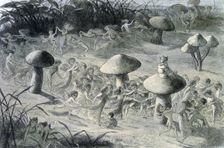 Water lilies and water fairies of the period c1869-c1870. Creator: Richard Doyle