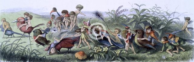 'Water lilies and water fairies of the period', c1869-c1870. Creator: Richard Doyle.