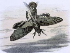 Water lilies and water fairies of the period c1869-c1870. Creator: Richard Doyle