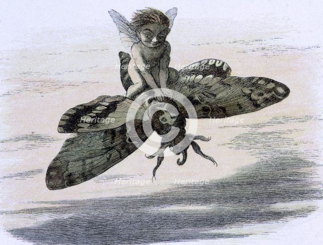 'Water lilies and water fairies of the period', c1869-c1870. Creator: Richard Doyle.