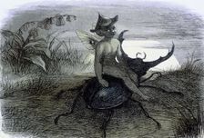 Water lilies and water fairies of the period c1869-c1870. Creator: Richard Doyle