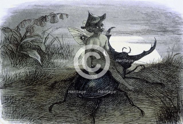 'Water lilies and water fairies of the period', c1869-c1870. Creator: Richard Doyle.