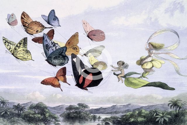 'Water lilies and water fairies of the period', c1869-c1870. Creator: Richard Doyle.