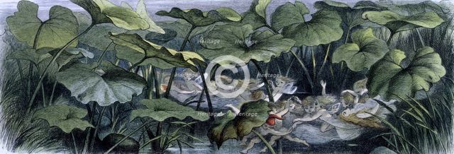 'Water lilies and water fairies of the period', c1869-c1870. Creator: Richard Doyle.