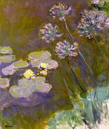 Water Lilies and Agapanthus, 1914-1917