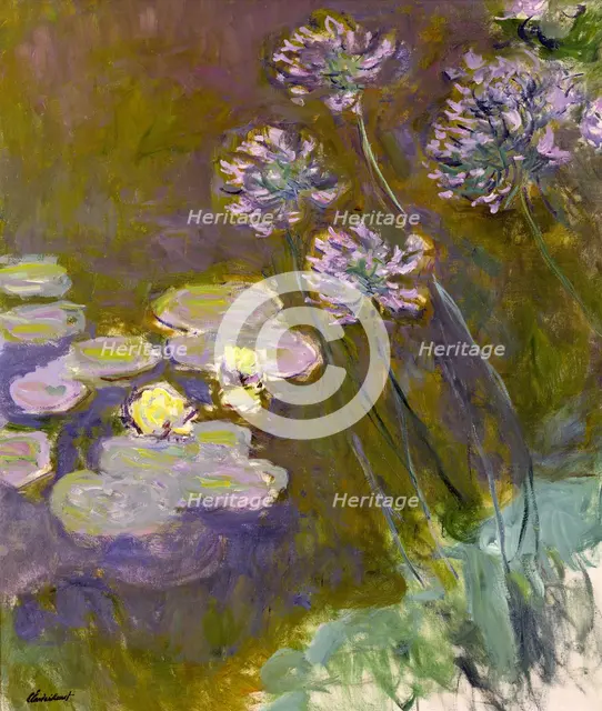 Water Lilies and Agapanthus, 1914-1917.