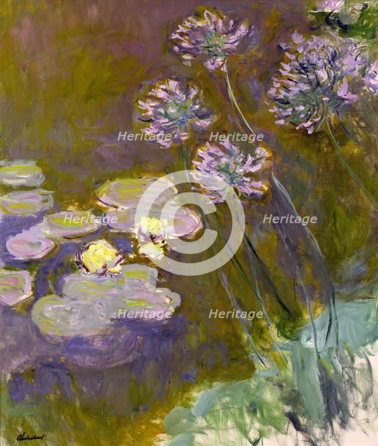Water Lilies and Agapanthus, 1914-1917.