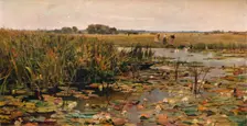Water Lilies c1870. Artist: James Aumonier