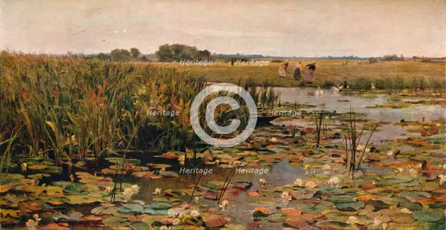 'Water Lilies', c1870. Artist: James Aumonier.