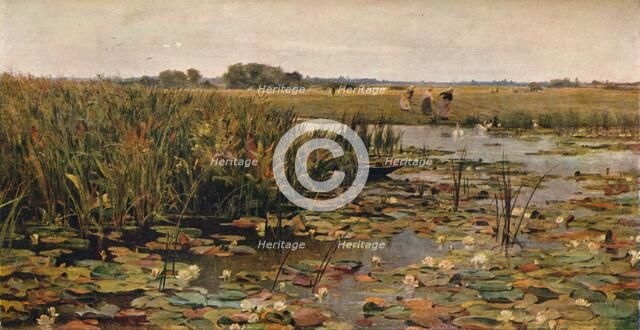 'Water Lilies', c1870. Artist: James Aumonier.