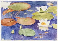 Water lilies in the water. Creator: Maria Wiik