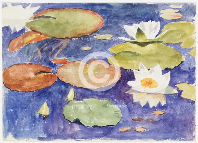 Water lilies in the water. Creator: Maria Wiik.