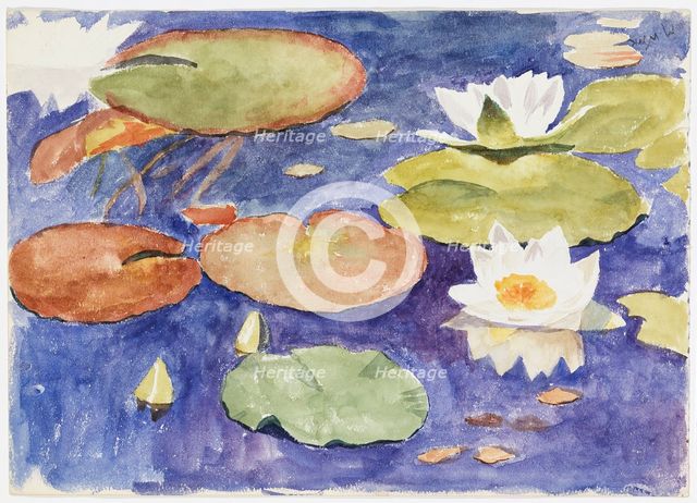 Water lilies in the water. Creator: Maria Wiik.