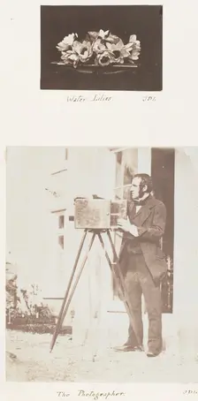 Water Lilies; The Photographer, 1853-56. Creator: John Dillwyn Llewelyn