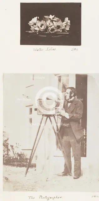 Water Lilies; The Photographer, 1853-56. Creator: John Dillwyn Llewelyn.