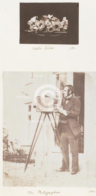Water Lilies; The Photographer, 1853-56. Creator: John Dillwyn Llewelyn.