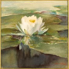 Water Lily in Sunlight, ca. 1883. Creator: John La Farge