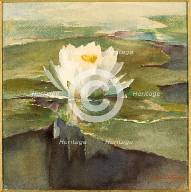 Water Lily in Sunlight, ca. 1883. Creator: John La Farge.