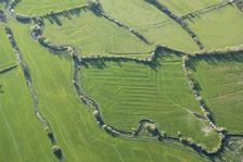 Water meadows along the River Frome, Kingston Maurward, Dorset, 2015. Creator: Historic England