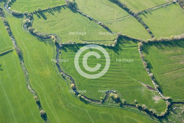 Water meadows along the River Frome, Kingston Maurward, Dorset, 2015. Creator: Historic England.