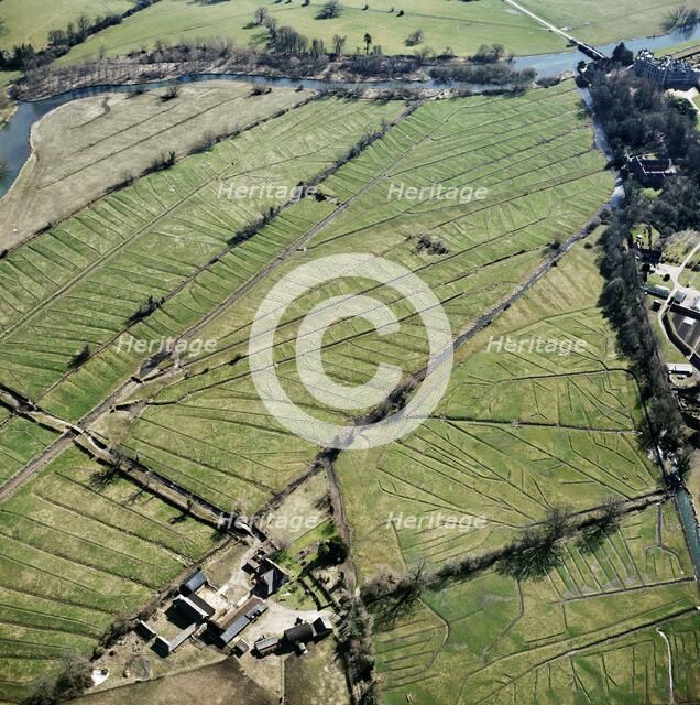 Water meadows, Lower Farm, Britford, Wiltshire, 2006. Artist: Damian Grady.