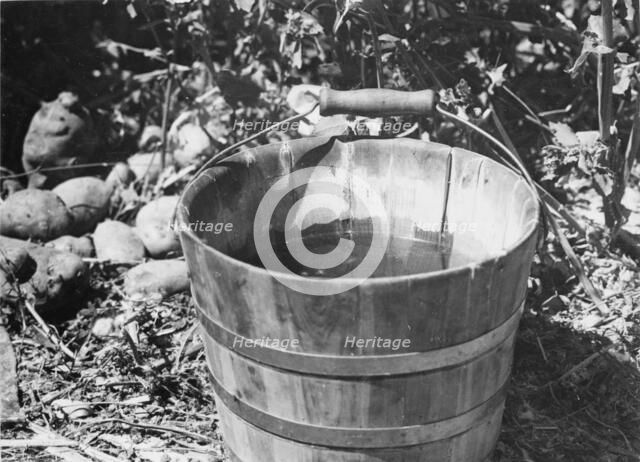Water, Southern California, 1935. Creator: Dorothea Lange.
