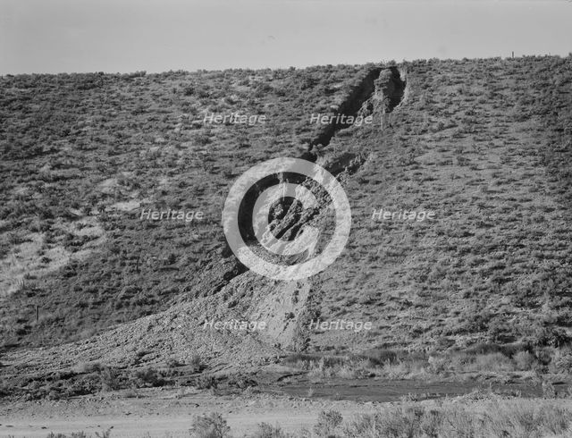 Water seepage from newly irrigated land on top of bench, eroding sides, Dead Ox Flat, Oregon, 1939. Creator: Dorothea Lange.