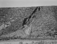 Water seepage from newly irrigated land on top of bench, eroding sides, Dead Ox Flat, Oregon, 1939. Creator: Dorothea Lange