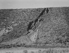 Water seepage from newly irrigated land on top of bench, eroding sides, Dead Ox Flat, Oregon, 1939. Creator: Dorothea Lange